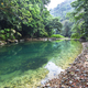 Bladen River and Dense Jungle in Belize - PhotoDune Item for Sale