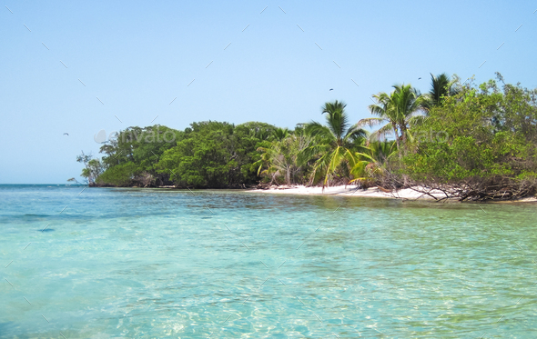 Tropical Island With Palm Trees In Belize Stock Photo By Kjwells86