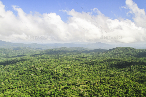 Aerial View of Endless Pristine Jungle in Belize - Stock Photo - Images