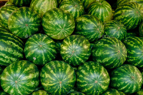 Pile of big ripe green watermelons in supermarket - Stock Photo - Images