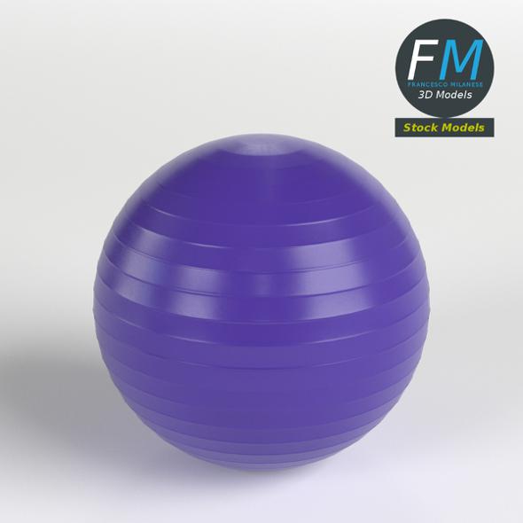 Fitball - 3Docean 23690050