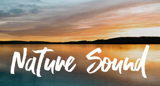 Nature Sounds
