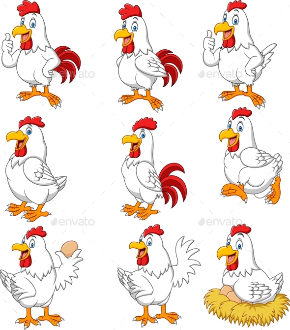 Cartoon Chicken, Vectors | GraphicRiver