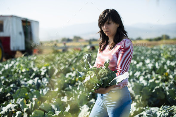 17084 - Stock Photo - Images