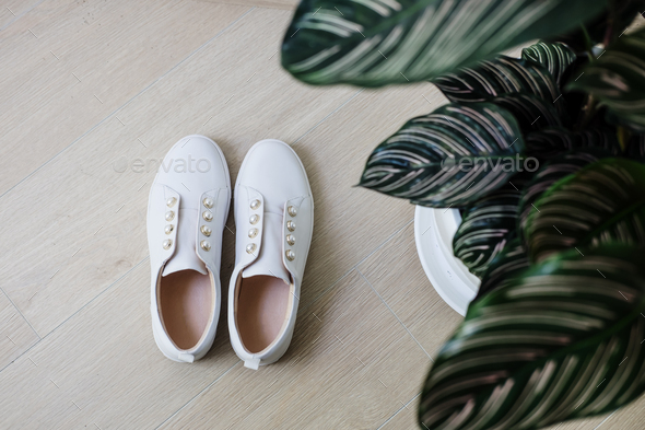 White sneackers shoes and green plant minimal