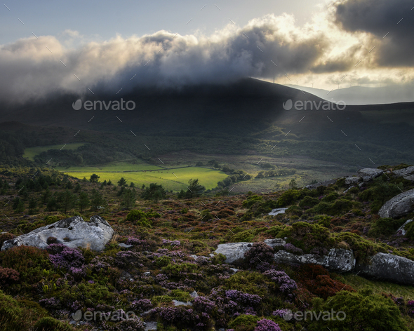 Meadow illuminated by a Sunray filtered through the Clouds - Stock Photo - Images