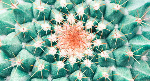 Abstract, Backgrounds