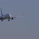 Airplane Landing Morning Flight - VideoHive Item for Sale