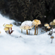 Frozen Mushrooms in the Snow in New Zealand - PhotoDune Item for Sale