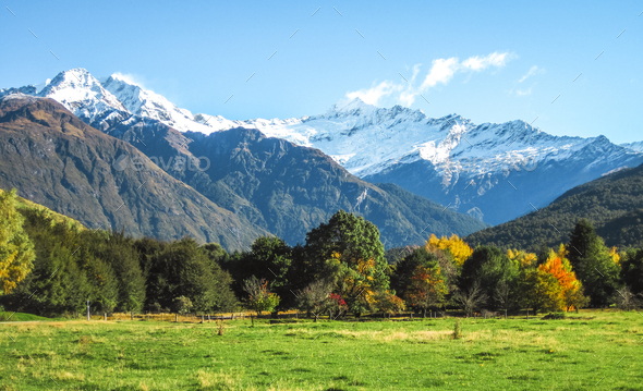 Green Grassy Fields And Snowcapped Peaks In New Zealand Stock Photo By Kjwells86