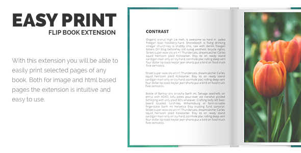 Print FlipBook Extension - CodeCanyon 11541234