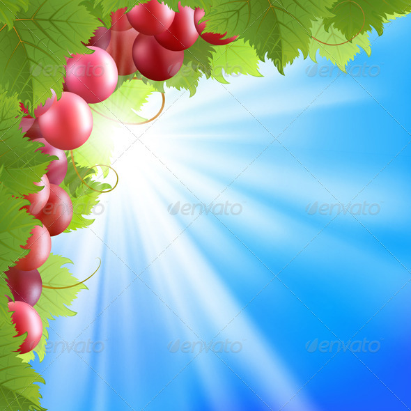 Background with vine - Seasons Nature