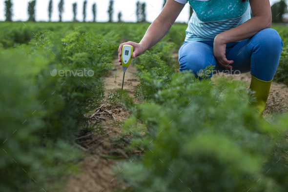 Measure soil with digital device. Green plants and woman farmer - Stock Photo - Images