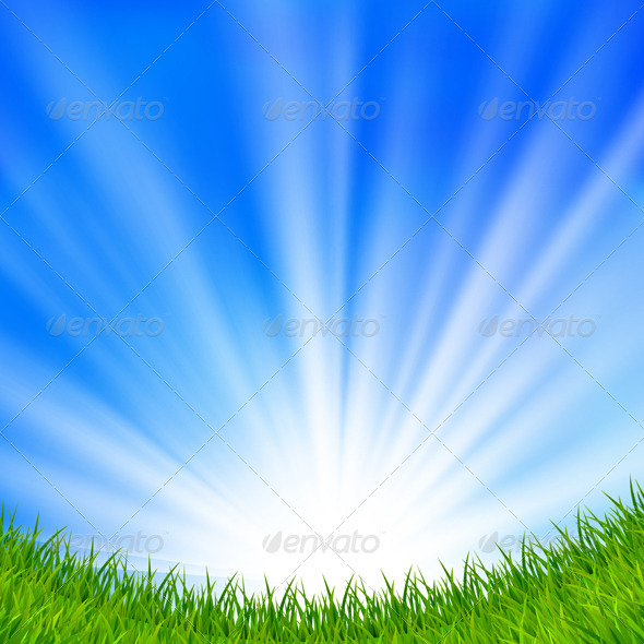 Summer background - Seasons Nature