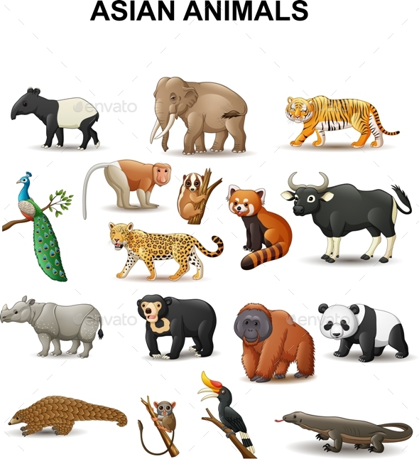 Asian Animals by tigatelu | GraphicRiver