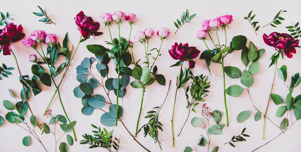 Flat-lay of purple peonies, pink roses and green branches - Stock Photo - Images