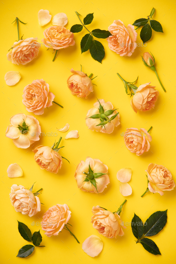 Download Floral Pattern With Pink Roses And Leaves On Yellow Background Flat Lay Stock Photo By Klenova