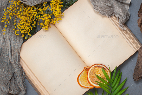 Open book with old blank pages. Background image with place for Stock Photo  by Olesya22