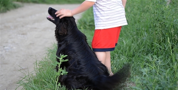 Kid And Dog Playing 1