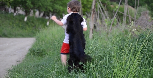 Kid And Dog Playing 2