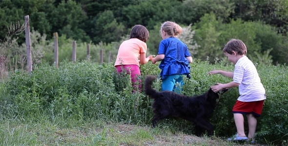 Kids And Dog