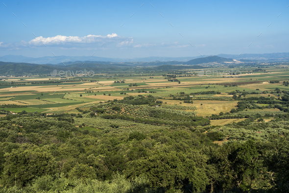 Summer landscape in Maremma, Tuscany - Stock Photo - Images