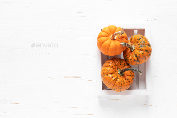 Small decorative pumpkins on white white background - Stock Photo - Images