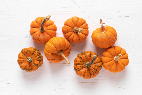 Small decorative pumpkins, halloween and thanksgiving background Stock ...