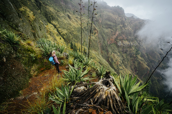 Female traveler staying on the cove volcano edge above the foggy green valley overgrown with agaves - Stock Photo - Images
