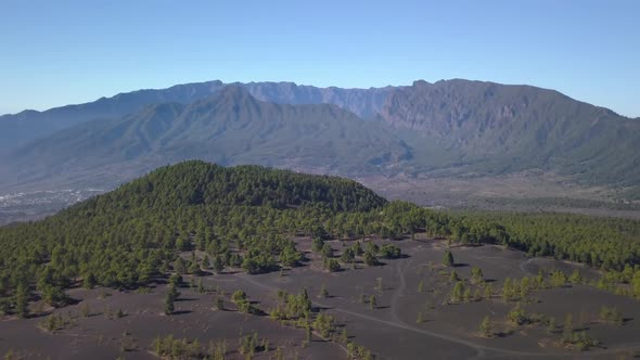 Volcanic Landscape and Pine Forest