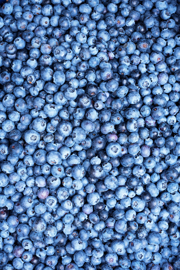 Fresh blueberries background with copy space for your text. Border design. Vegan and vegetarian - Stock Photo - Images