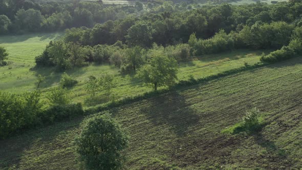 Meadow after sunrise with agricultural land and trees 4K drone video alt