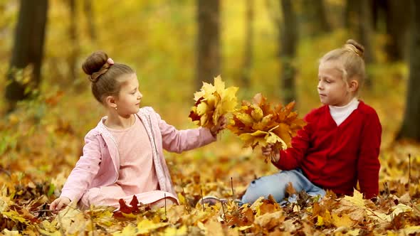 two little girls are gathering a bouquet of autumn leaves