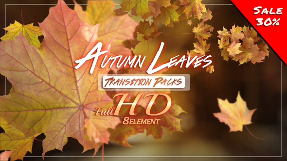 Autumn Leaves Transition