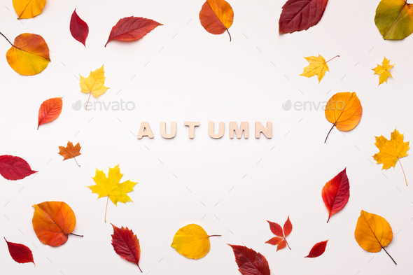 Inspirational background of fallen red and yellow leaves on white