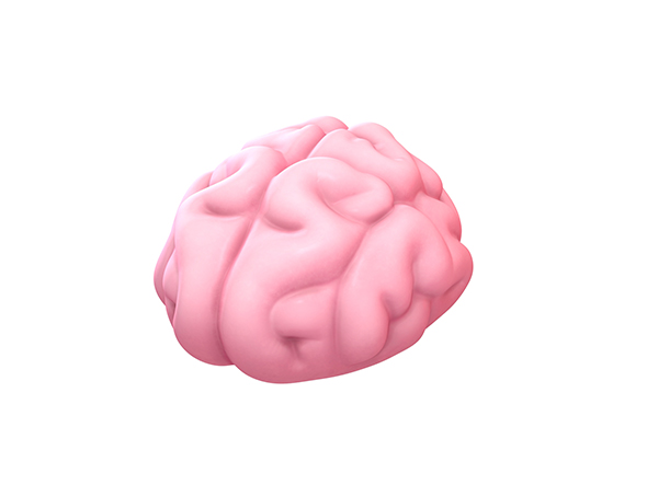 Brain - 3Docean 24780425