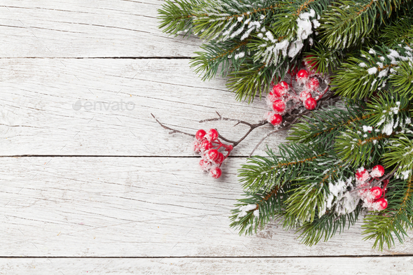 Christmas card with fir tree branch - Stock Photo - Images
