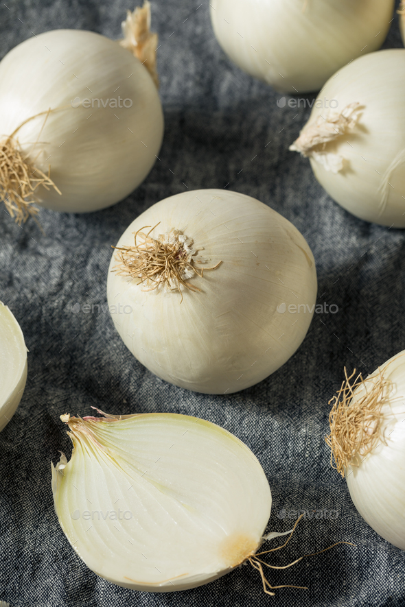 Raw Organic Chopped Green Onions Stock Photo by bhofack2