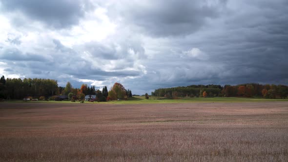Mowed field against the background of the autumn forest