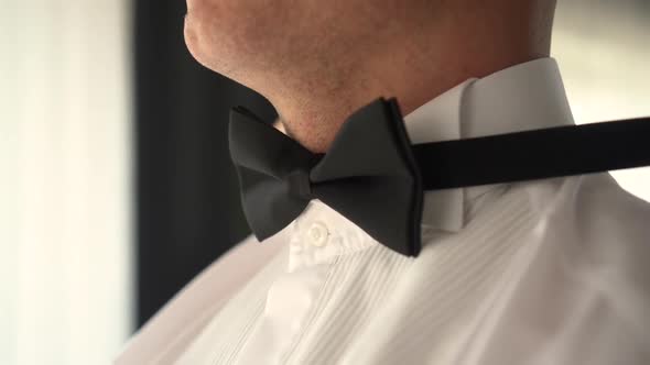A Man Wears a Black Bow Tie alt