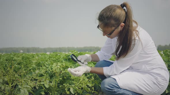 Female biologist inspecting pests alt