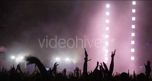 Concert and Crowd at Rock Show