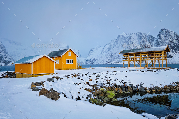 Rorbu house and drying flakes for stockfish cod fish in winter. Lofoten islands, Norway - Stock Photo - Images