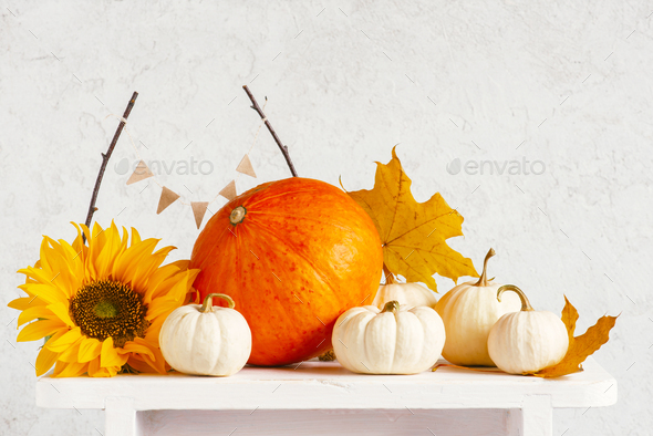 Autumn Composition of Pumpkins on the White Table - Stock Photo - Images