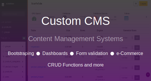Custom CMS