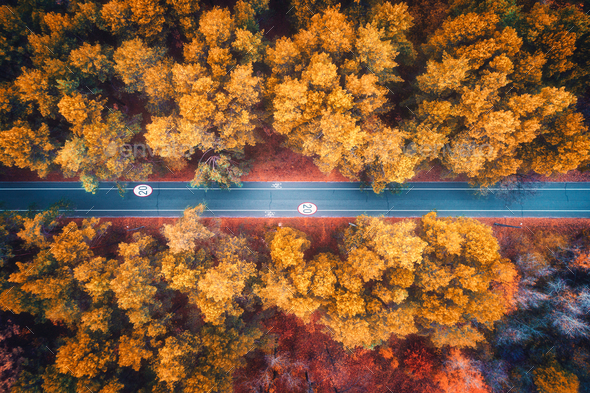 Aerial view of road in beautiful autumn forest at sunset - Stock Photo - Images