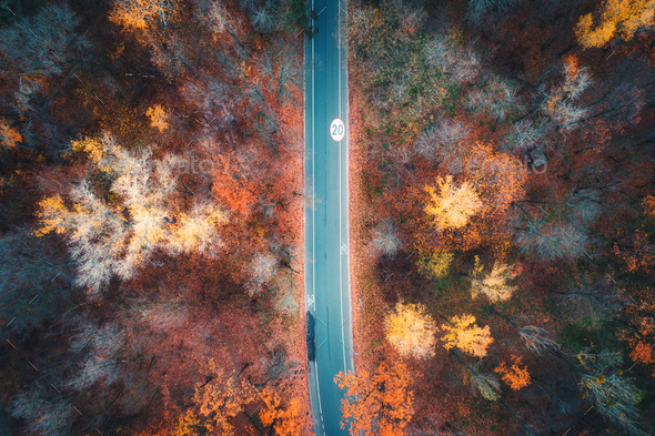 Aerial view of road in beautiful autumn forest at sunset - Stock Photo - Images
