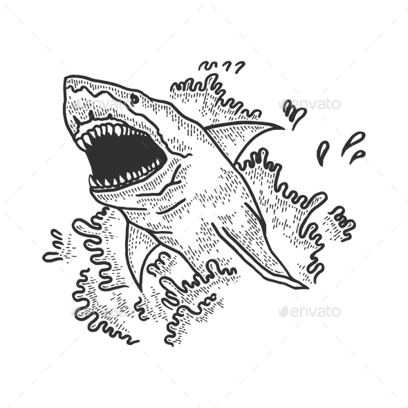 shark jumping out of water drawing