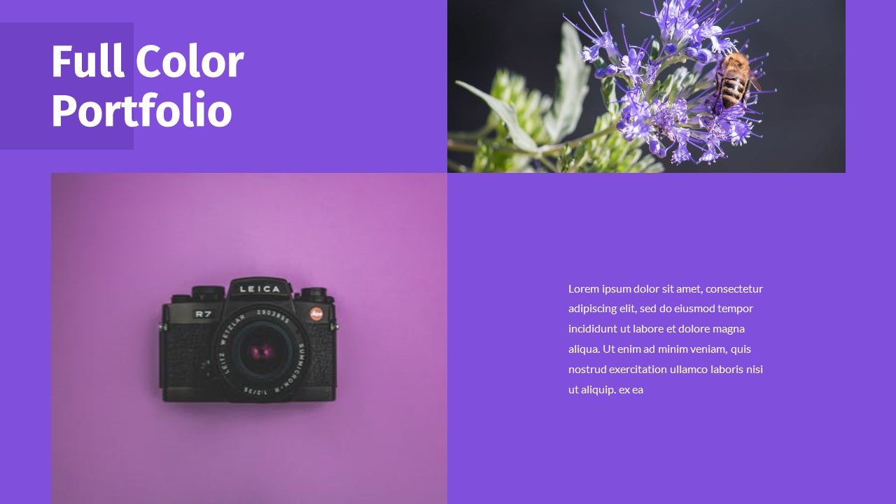 Full Color - Multipurpose Powerpoin Template, Presentation Templates
