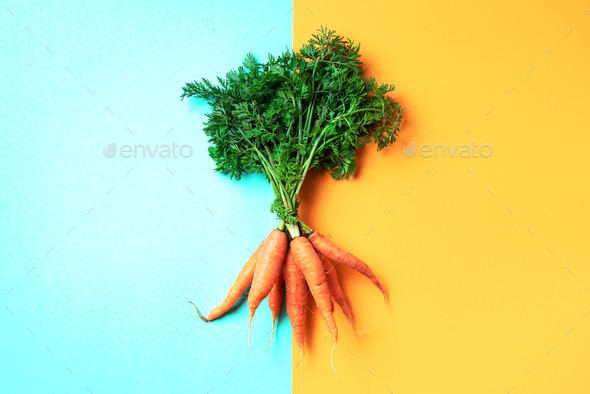 Bunch of young carrots with green tops on trendy yellow and green background. Top view. Copy space - Stock Photo - Images